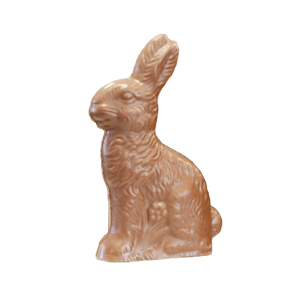 9.9oz Chocolate Bunny