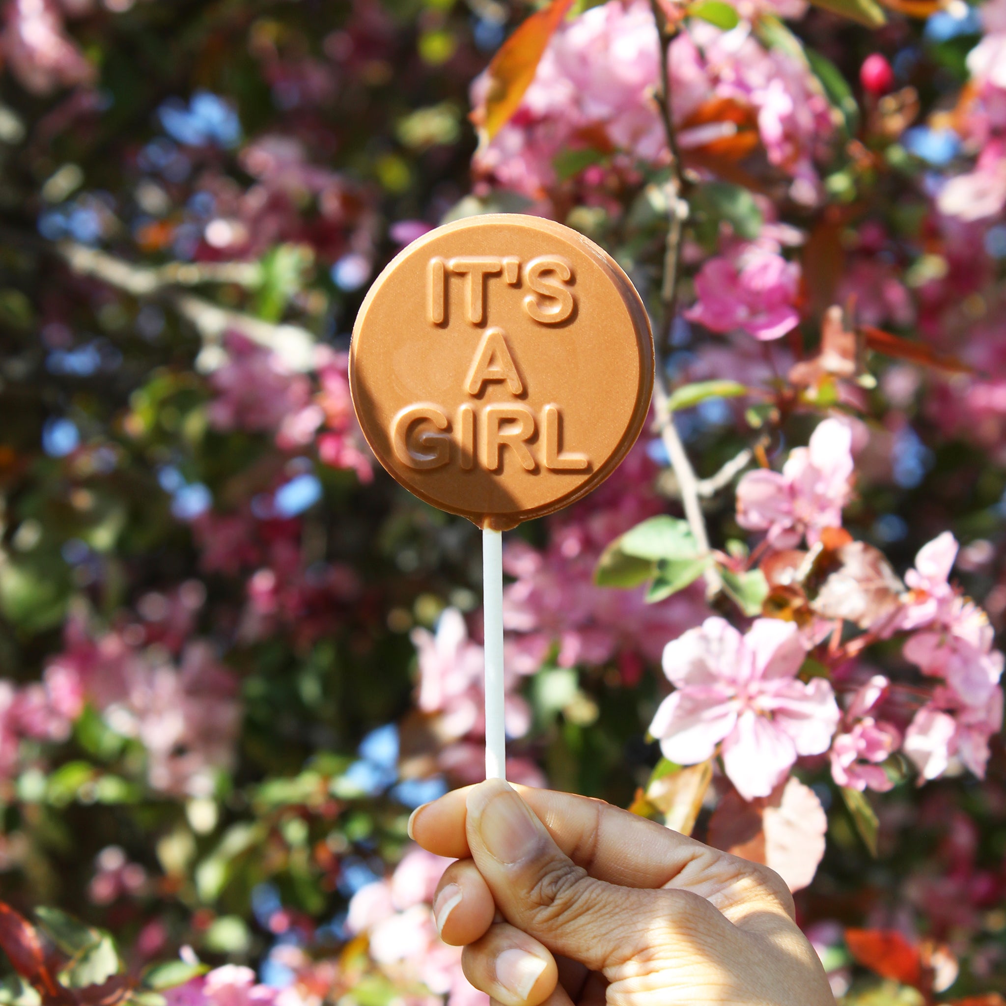 Special Occasion Pops – Vermont Nut Free Chocolates