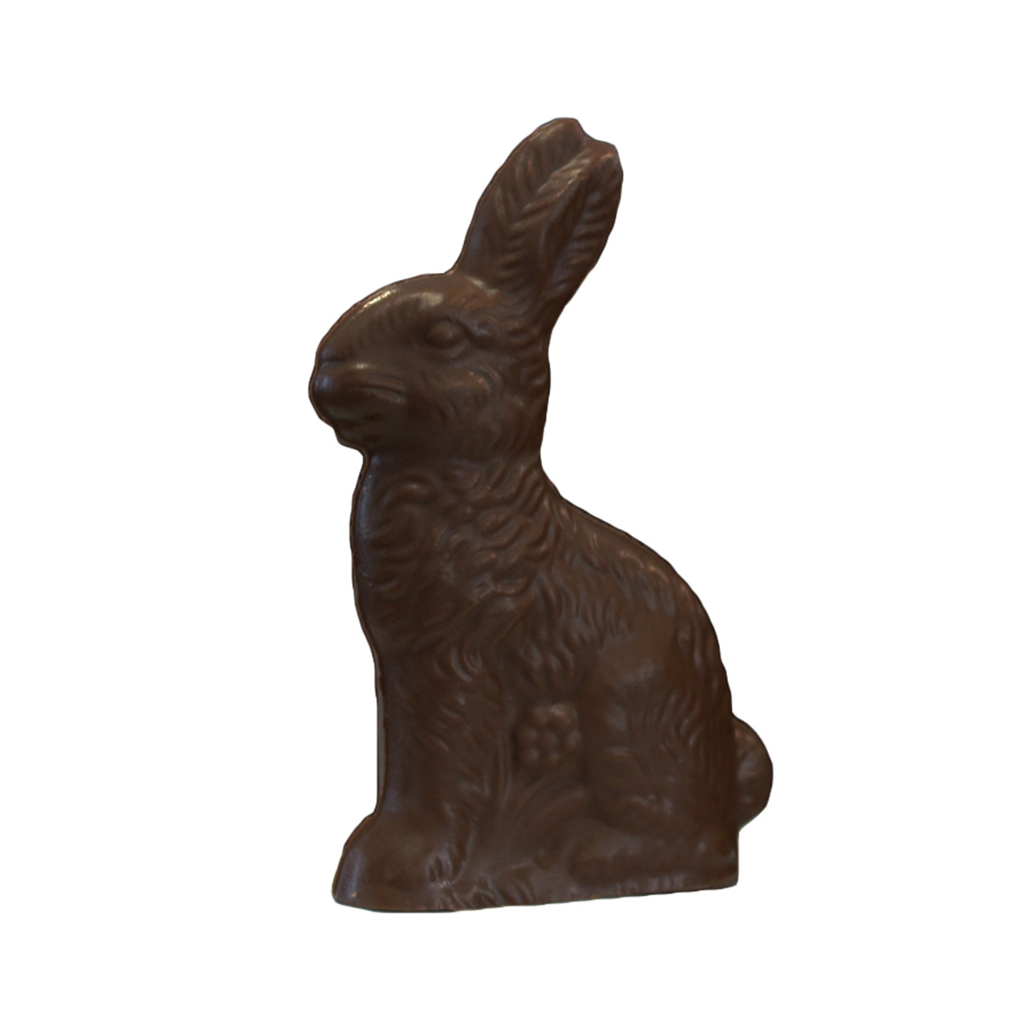 
                  
                    9.9oz Chocolate Bunny
                  
                