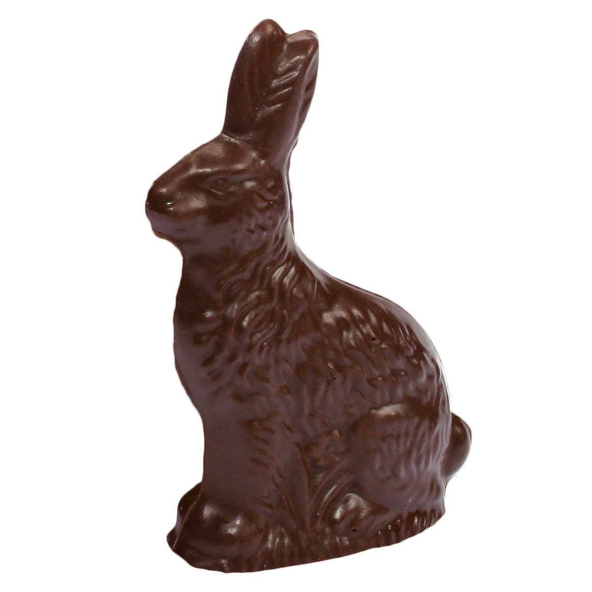 
                  
                    5.4oz Chocolate Bunny
                  
                
