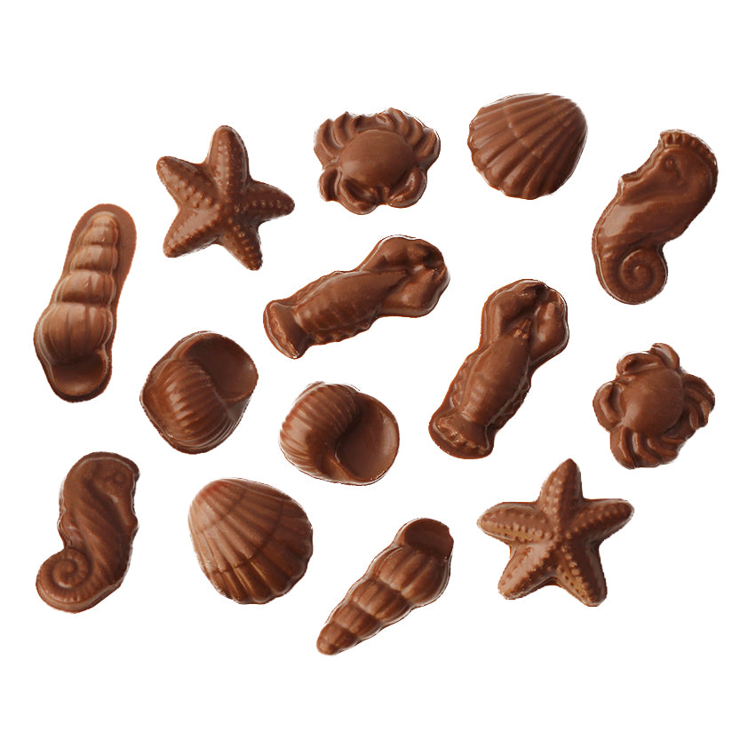 Chocolate Sea Shells – Vermont Nut Free Chocolates